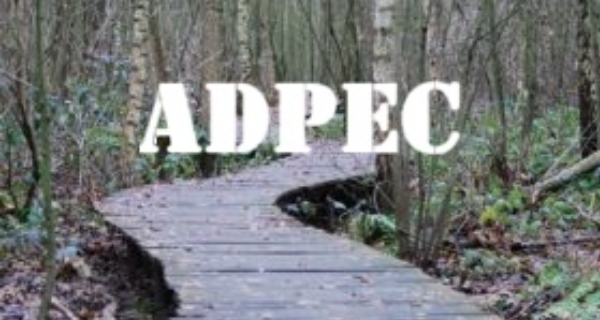 Logo ADPEC - Modèle rectangle