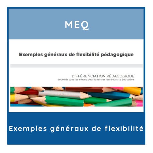 MEQ Exemples généraux de flex
